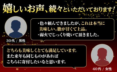 A5ランク サーロイン ステーキ 140g×2枚 サイコロ ステーキ 130g×2P【肉のあいかわ】 [NA79] 肉 牛肉 焼肉