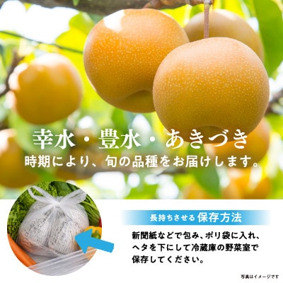 【8月上旬より順次発送予定】茨城県かすみがうら市産梨　品種おまかせ 約10kg【配送不可地域：離島・北海道・沖縄県・中国・四国・九州】