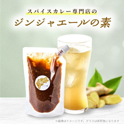 【ふるさと納税】【スパイスカレー専門店/山のスパイス】　自家製ジンジャーエールの素【配送不可地域：離島】【1518372】