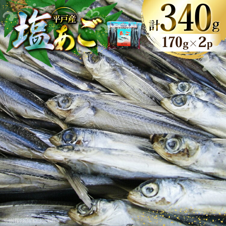 【ふるさと納税】魚 飛魚 塩あご 170g 2パック [森崎水産 長崎県 平戸市 hr42bgy410102] 平戸 お酒のお供 干物 おつまみ