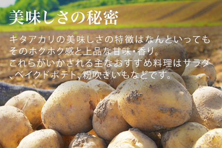 じゃがいも 【令和７年産予約受付】黒木農場 北あかり5kg じゃがいも [006-24]