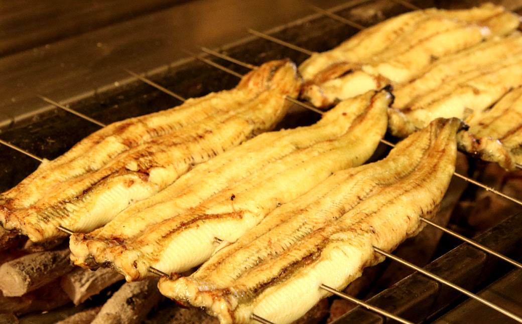 木曽三川ウナギの白焼 150g × 5尾 合計750g ／ うなぎ 鰻 ウナギ 国産 国産鰻 白焼 白焼き 土用の丑の日 丑の日 良質 老舗 冷凍 三重県 桑名市