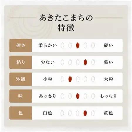 秋田県産あきたこまち5kg【令和7年産】【配送不可地域：離島・沖縄県】【1381409】