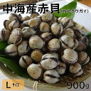 【ふるさと納税】中海 産 赤貝 （ サルボウガイ ）L サイズ 900g ／ 山陰 正月 郷土料理 養殖 数量限定