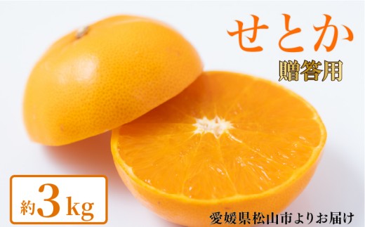 【2027年2月上旬頃から順次発送】せとか 贈答用 約3kg みかん ミカン 柑橘 フルーツ くだもの 果物 青果 果実 人気 甘い ジューシー 産直 産地直送 田中農園