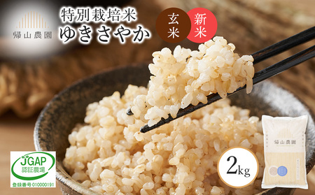 【令和7年産新米予約】玄米 ゆきさやか 2kg　特別栽培米産地直送《帰山農園》 米 こめ 北海道産お米 北海道米 美味しいお米 北海道産米 道産米