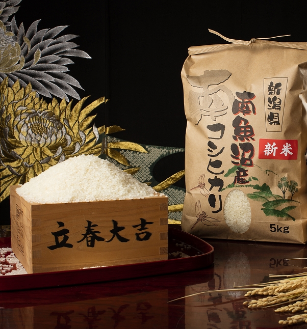 【頒布会】【令和7年産 新米予約】南魚沼塩沢産こしひかり（無洗米5kg×全12回）【令和7年11月上旬より順次発送予定】