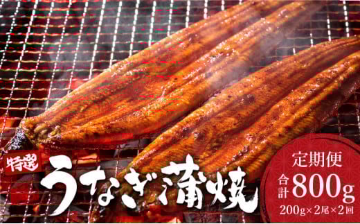 ＜2026年7月配送開始／定期便2回＞ うなぎ蒲焼き 計800g (200g×2尾×2回) ／うなぎ 鰻 ウナギ 蒲焼 蒲焼き 土用 丑の日 特選 肉厚 たれ 国産 ふるさと 鰻丼 鰻重 うな重 うなぎたれ ギフト 贈り物 佐賀 佐賀県 送料無料