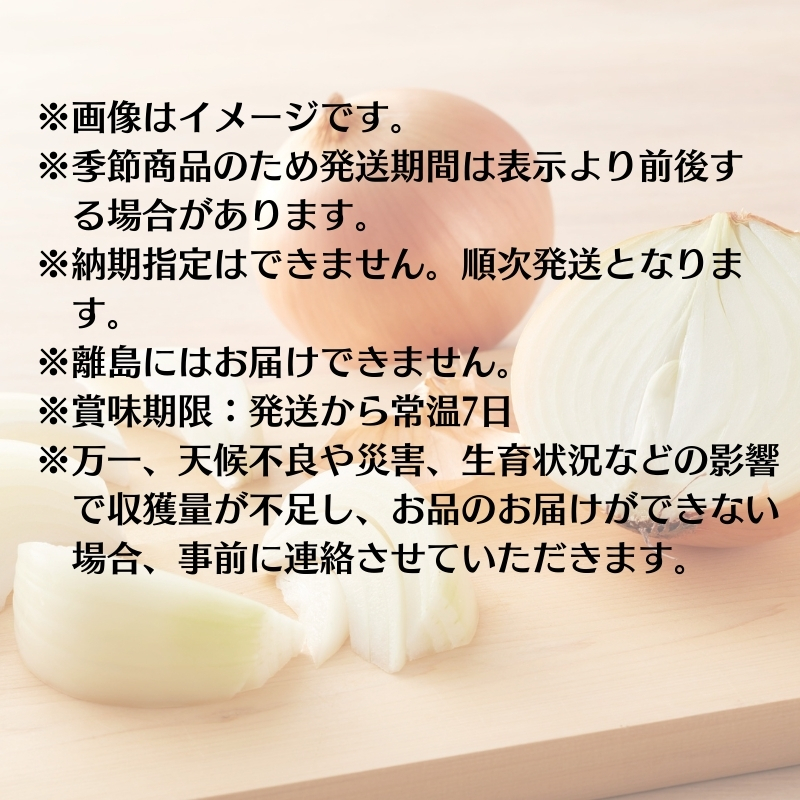 極早生玉ねぎ 約2kg