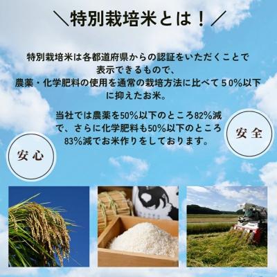ふるさと納税 小松市 特栽つきあかり 精米 白米 (玄米10kgを精米したて白米発送) 令和7年度産 |  | 01