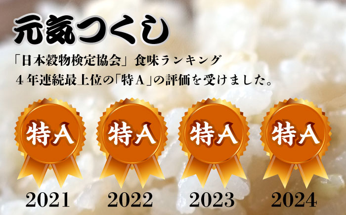 福岡県産【特A】評価のお米「元気つくし」5kg×2袋 [10kg] [玄米]《築上町》【株式会社ベネフィス】 [ABDF031]