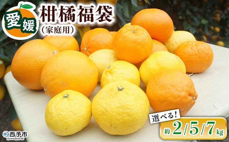 
                  【先行予約】＜笑丸のお楽しみ柑橘福袋（家庭用）約2kg／5kg／7kg＞ 選べる 内容量 自宅用 訳あり 果物 くだもの フルーツ ミカン みかん 蜜柑 高級柑橘 詰め合わせ 春柑橘 春みかん 夏柑橘 特産品 笑丸 愛媛県 西予市 常温『2027年1月～5月に順次出荷予定』
                