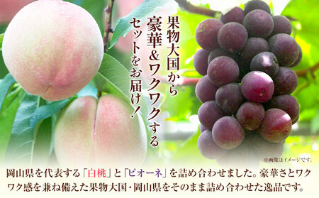 白桃とピオーネの詰合せ 約1kg 桃 ピオーネ
