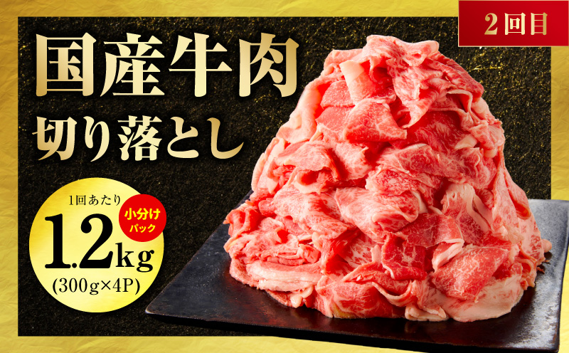 国産 牛肉 豚肉 鶏肉 定期便 3回 総量 4.2kg 【氷温熟成×極味付け 3種 食べ比べ 普段使い 味付き 小分け 訳あり サイズ不揃い 毎月配送コース】