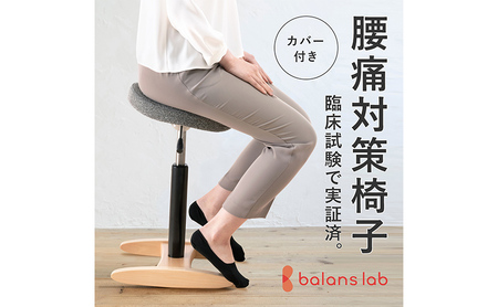 椅子 バランスシナジー カバー付き 選べる シート カラー 腰痛対策椅子 腰痛対策 家具 Sシートシックブラウンベージュ