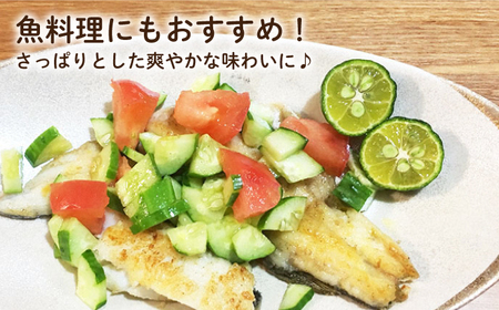 【TVで話題！】【☆先行予約☆】 青切り シークワーサー 約5kg＜広津農園＞ [CBN015]