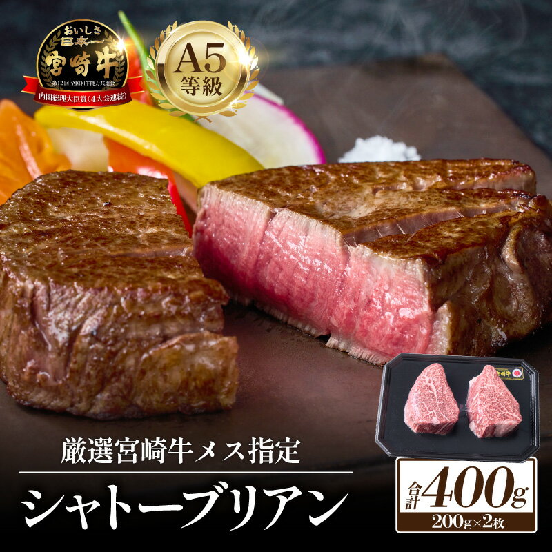 【ふるさと納税】厳選宮崎牛メス指定 A5等級シャトーブリアン 400g 牛肉 和牛 黒毛和牛宮崎牛 赤身 ヒレ シャトーブリアン ステーキ 焼肉 《レビューキャンペーン実施中》