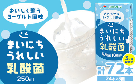 常温保存可能【1ヶ月毎3回定期便】まいにちうれしい 乳酸菌 ヨーグルト風味 250ml×24本 計72本 合同会社たべたせいか《お申し込みの翌月から出荷》熊本県 菊池市 紙パック ヨーグルト飲料 乳酸
