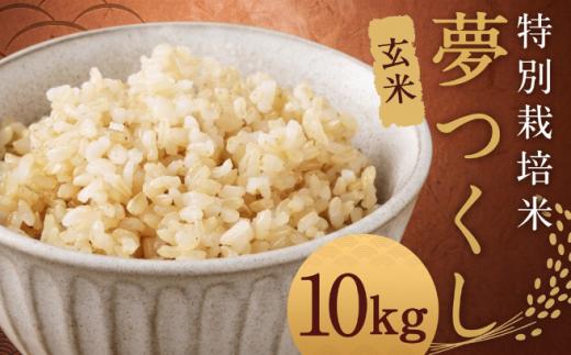 【令和8年度産先行予約】【玄米】 夢つくし （特別栽培米） 約10kg 福岡県産 令和8年産 玄米 米 こめ コメ