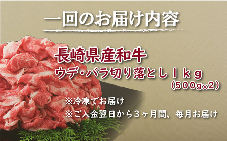 《定期便》 訳あり限定長崎県産和牛切り落とし総重量3kg(1000gを3回お届け)【佐世保食肉センター】 牛肉 和牛 切り落とし すき焼き 牛丼 訳あり 人気 訳あり 和牛 訳あり 