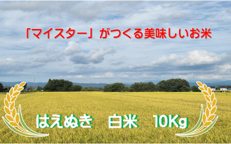 マイスターがつくる はえぬき 白米 10kg 令和7年産 - 山形県 飯豊町産 米 精米 銘柄 ブランド米 林七【価格改定】