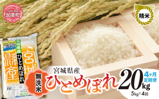 【4回定期便】R7 宮城県産 ひとめぼれ 無洗米 5kg×4回 [ 宮城県 加美町 菅原精米 ] 米 こめ コメ ご飯 sw-hb05-mu-t4-r7