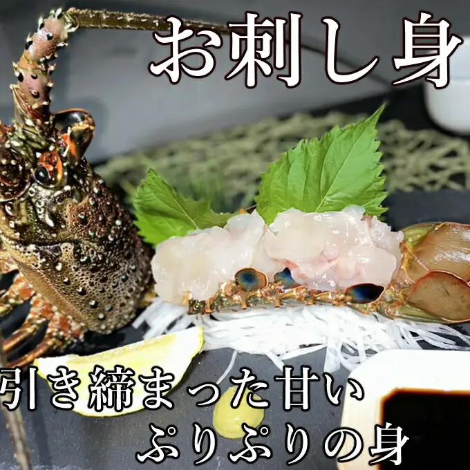 【 予約受付 令和8年9月16日以降発送 】活伊勢海老 (軍手付き) 5～12尾 約3kg【イセエビ 伊勢海老】