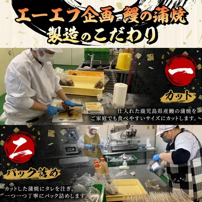 【お中元】鹿児島県産 うなぎ蒲焼 きざみ入り まぜそば（担々麺味）4食分【00-057-55-R8OC】