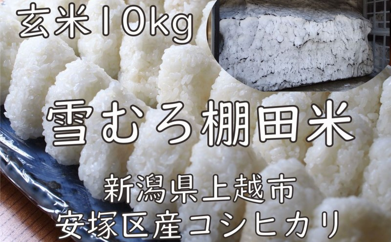 
米 雪むろ 棚田米 コシヒカリ 10kg 玄米 こしひかり お米 こめ おすすめ ふるさと納税 ユキノハコ 新潟 新潟県産 にいがた 上越 上越産
