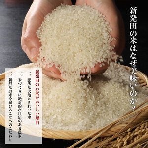 【定期便】 令和6年産 ミルキークイーン 2kg×6か月　【 新潟県 新潟産 新発田産 米 ミルキークイーン 佐々木耕起組合 2kg 6ヵ月 12kg 定期便 D42_001 】 