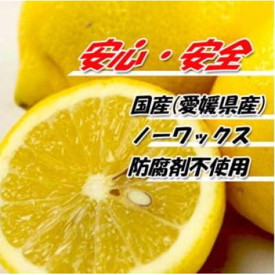 ふるさと納税 松山市 レモン サイズ不揃い 約5kg【訳あり】 |  | 01