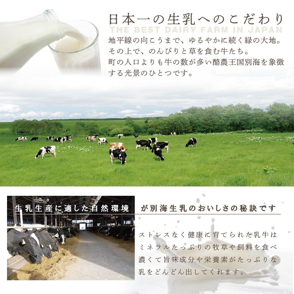 【ご好評につき数ヶ月待ち！】 北海道の新鮮ミルクたっぷり～♪こだわり【濃厚チーズケーキ】BETSUKAI～べつかい【CM0000003】濃厚 ケーキ 北海道 新鮮 ミルク たっぷり BETSUKAI 