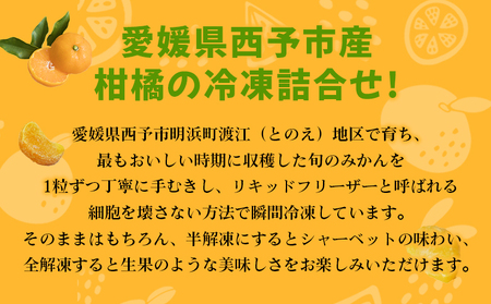 ＜【訳あり】冷凍みきゃんセット みきゃん盛り（皮付き15個）＞ ミカン 温州みかん 柑橘 果物 フルーツ デザート 詰合せ 特産品 渡江から一歩を踏み出す会 食べて応援 愛媛県 西予市【冷凍】『1か月