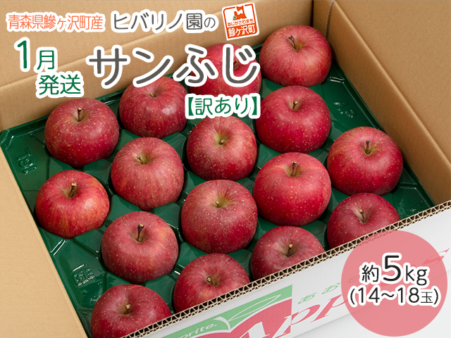 【 1月発送 】 訳あり ヒバリノ園 サンふじ 約 5kg （14～18玉）青森県鰺ヶ沢町産 りんご 果物 フルーツ デザート シャキシャキ ※オンライン決済のみ 