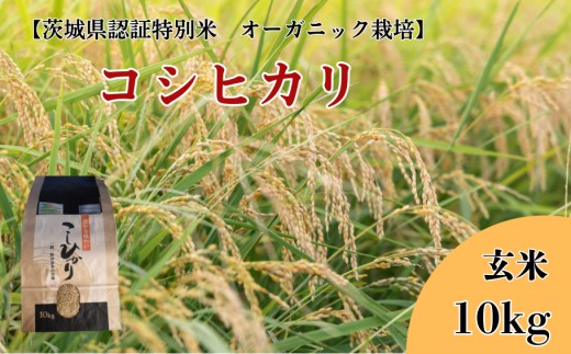 《 令和7年産 》コシヒカリ　玄米10kg【茨城県認証米／オーガニック栽培】 ／ 米 こめ コメ お米 おこめ コシヒカリ こしひかり 茨城県認証米 オーガニック 白米  玄米 ごはん 令和7年 10kg 送料無料