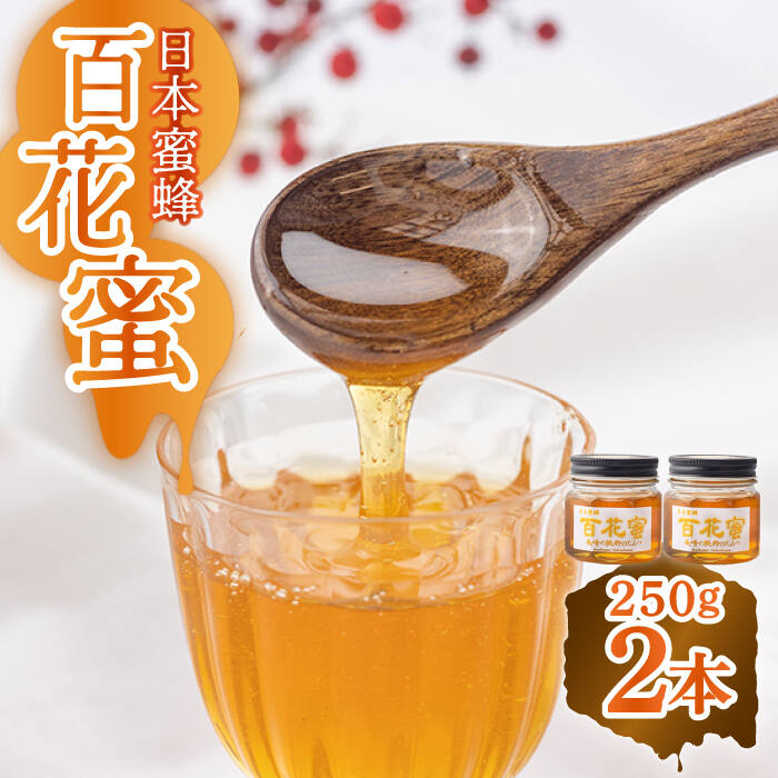 【ふるさと納税】【長崎の純粋はちみつ】日本蜜蜂 百花蜜 250g×2本 ー2026年収穫分ー 長与町/ハチミツ屋はなまる [ECD002] 純粋はちみつ 生はちみつ ハチミツ 国産 蜂蜜 天然 ハニー 非加熱