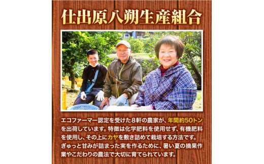 八朔 はっさく 10kg ＜ 先行予約 ＞ 《2026年2月上旬‐2026月3月上旬頃出荷》仕出原八朔生産組合 徳島県 美馬市 果物 くだもの フルーツ 特選 ゼリー ジュース ピール　 八朔 10k