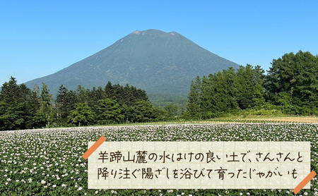【ふるなびWEEK対象】【 訳アリ 】 馬鈴薯 約 10kg 男爵 リストファーム サイズ 混合 馬鈴薯 芋 ポテト イモ 産地直送 野菜 FN-Limited
