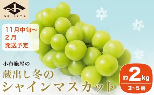 蔵出し冬のシャインマスカット 約2kg 3～5房 ［小布施屋 ］長野県 ぶどう フルーツ 果物 冷蔵便 クール便 令和7年産 【2025年11月中旬～2026年2月発送】［C-2］