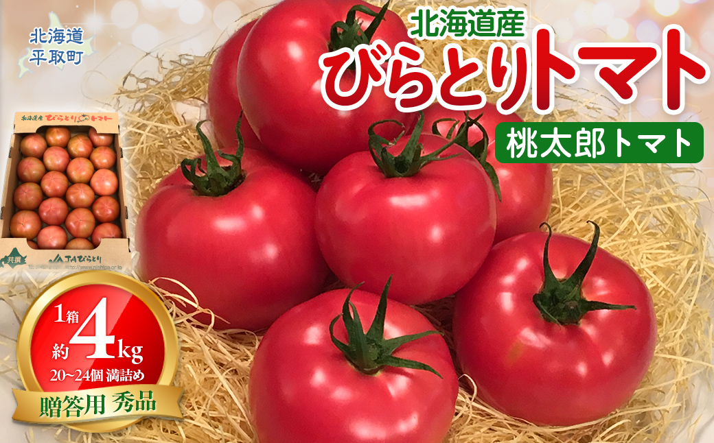 【先行予約/2026年6月以降発送】【家庭用】ニシパの恋人「びらとりトマト」秀品 1箱 約4kg（20～24個 満詰め） BRTO001