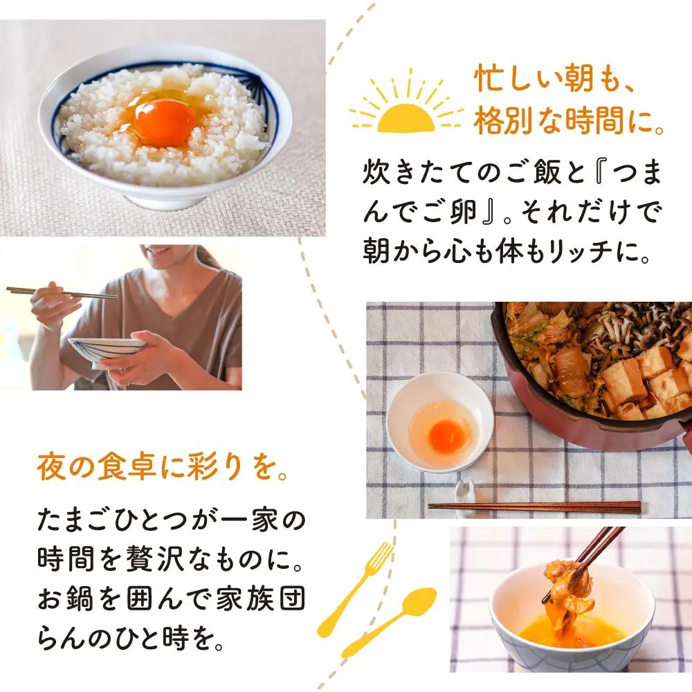 つまんでご卵 卵 大サイズ 40個 セット [AGA011] たまご
