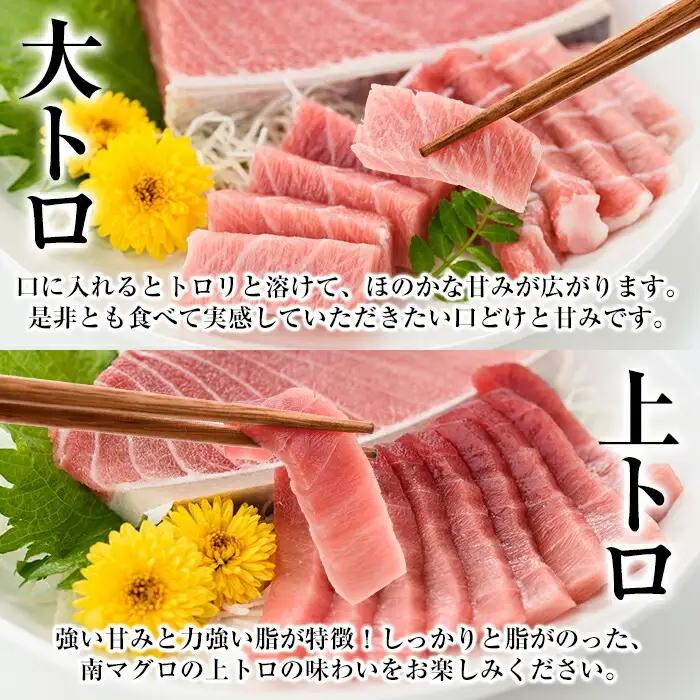 【定期便全12回】天然 南まぐろ 定期便 約19Kg まぐろ【00-019-08-TK】
