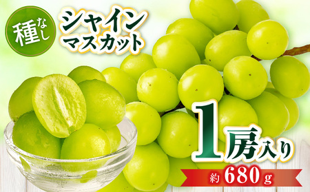 【先行受付】シャインマスカット 1房入り(約680g) | マスカット ぶどう ブドウ 葡萄 果物 フルーツ 人気 香川 香川県 三木町 種なし 皮ごと食べられる ジューシー 旬 おすすめ |_mk006-106
