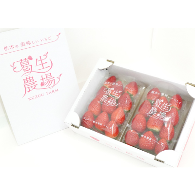 【春いちご】栃木のいちご食べ比べ!「2品種組み合わせ!」セット(260g×2パック)【配送不可地域：離島・沖縄県】
