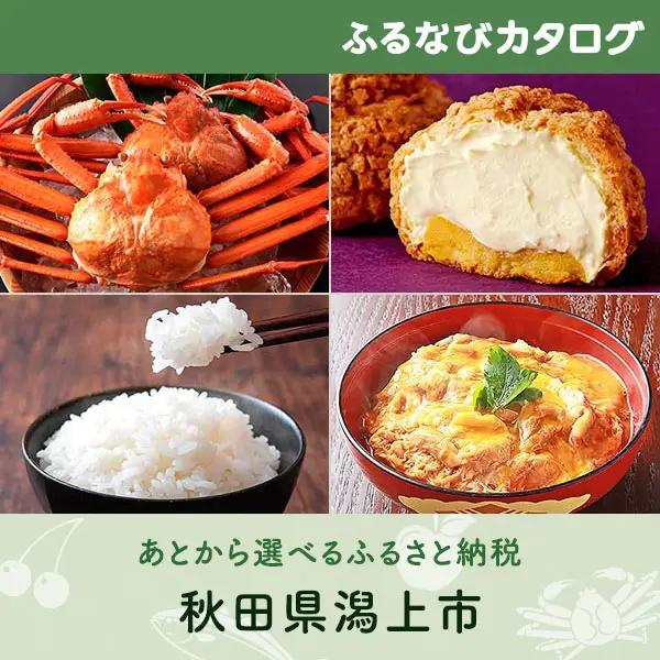 【有効期限なし！後からゆっくり特産品を選べる】秋田県潟上市カタログポイント