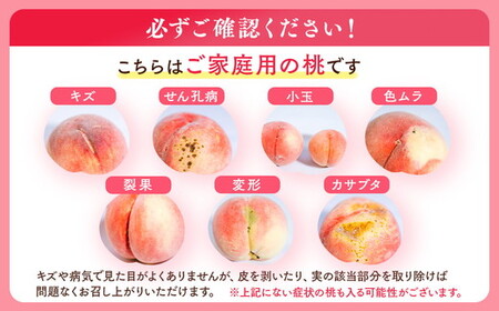 ◆2026年夏発送◆＜ 産直・家庭用 桃・約1.5kg ＞ ※北海道・沖縄・離島への配送不可 ※2026年7月上旬～9月上旬頃に順次発送予定 | もも フルーツ 果物 10000円 1万円以内