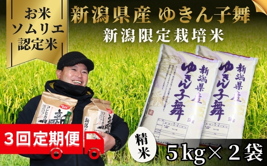 
                  【先行予約】【令和8年産】〈3回定期便〉 【お米ソムリエのお米】 ゆきん子舞 精米 10kg（5kg×2袋） 新潟県 五泉市 エバーグリーン農場
                