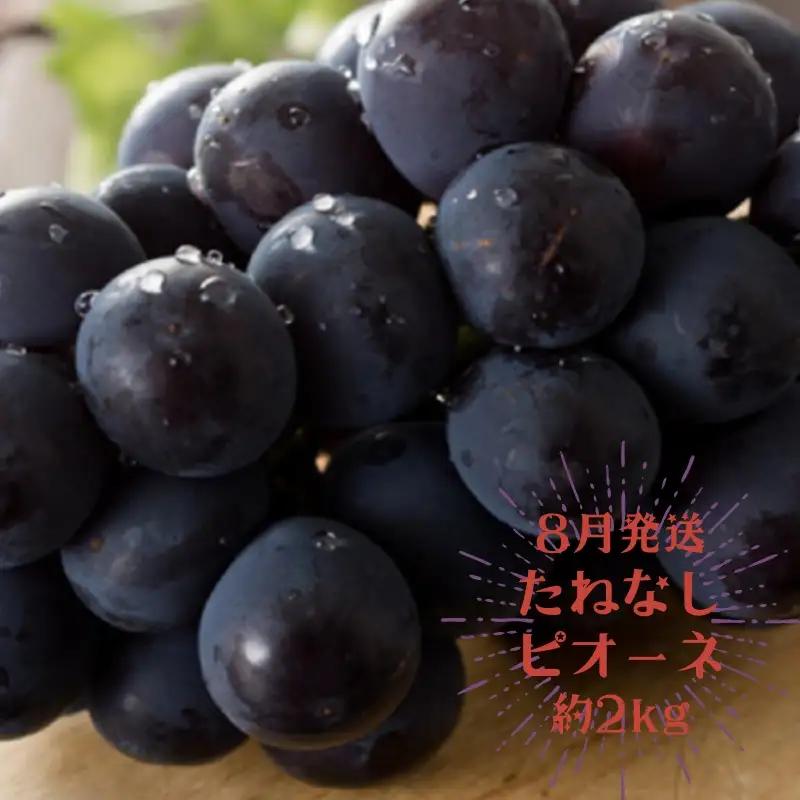 【3か月定期便】夏のいいとこどりフルーツ定期便♪桃・ピオーネ・シャインマスカット【tkb360】