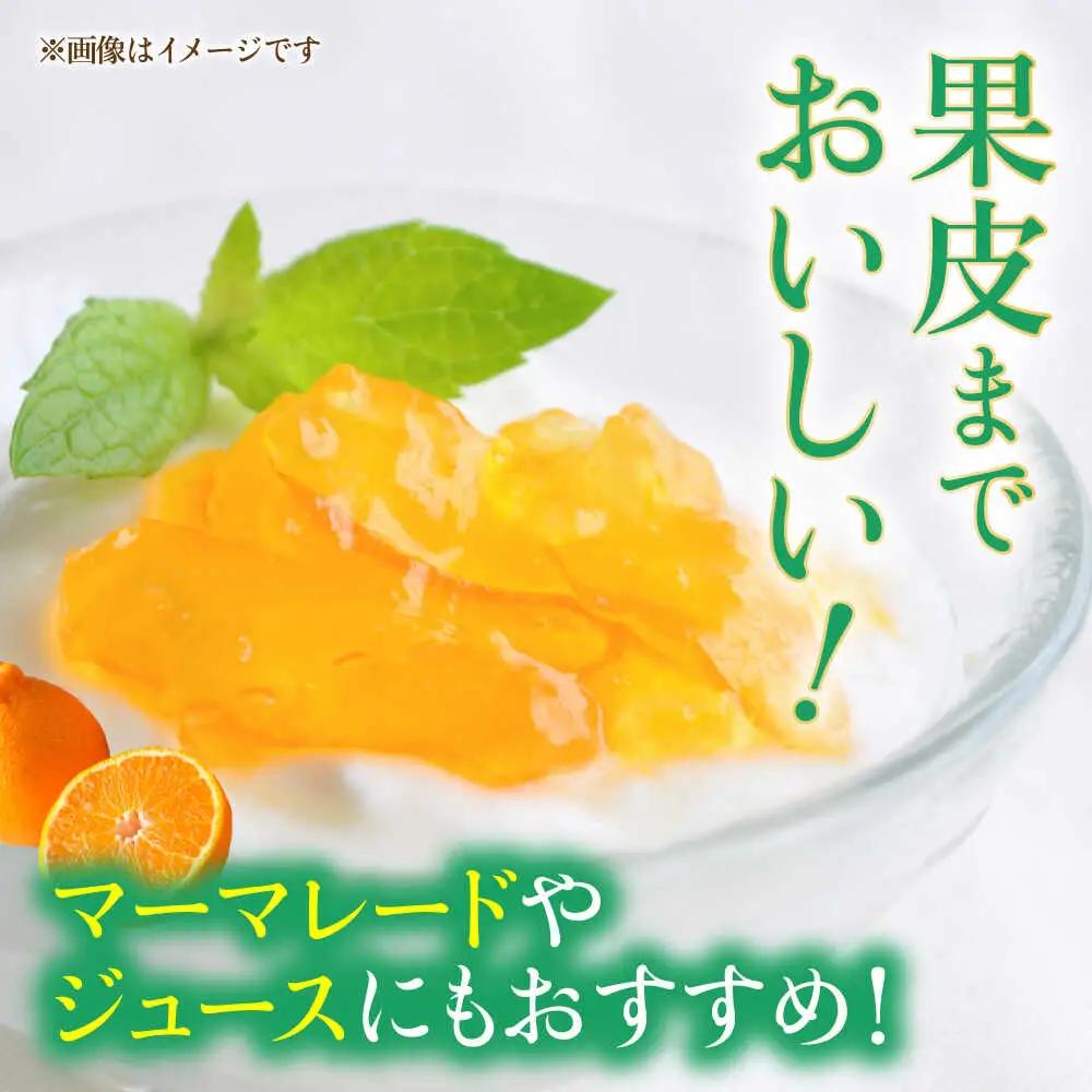 【先行予約】不知火 約10kg 柑橘 蜜柑 みかん フルーツ 【日本フルーツ株式会社】 [ZFJ003]