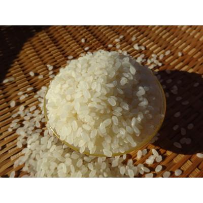 ふるさと納税 綾町 完全自然米白米 計2.7kg 令和7年産 |  | 01